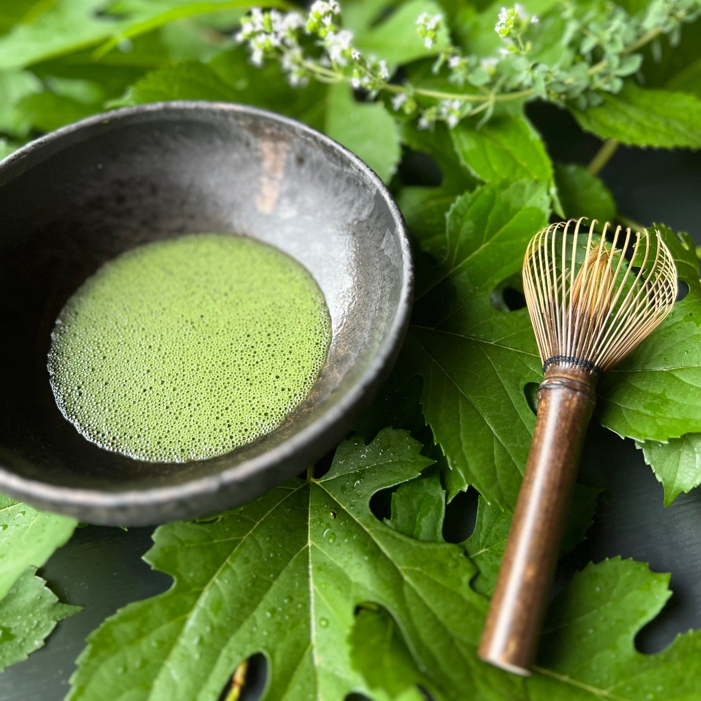 オーガニック・有機桑抹茶